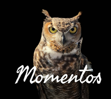 @momentos