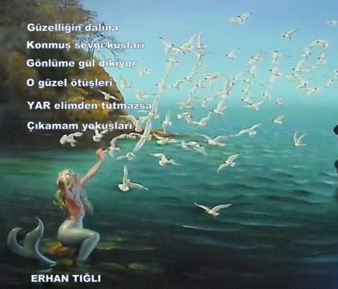 Gönderi görseli