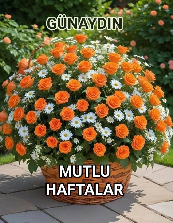 Gönderi görseli