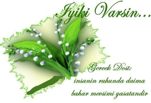 Gönderi görseli